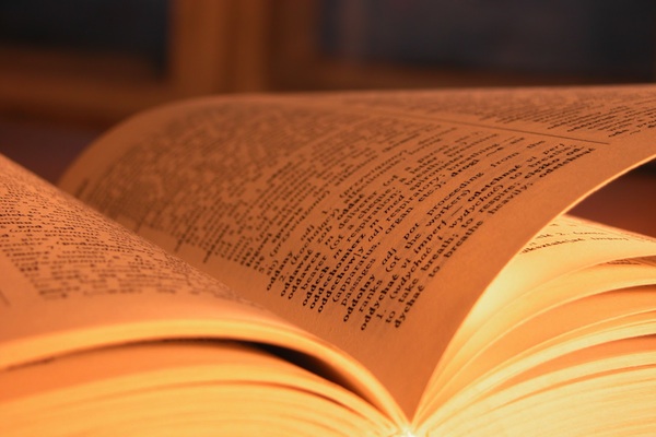 licitación pública